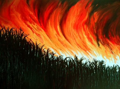 Night Drive to Coraki by Isolde Copping